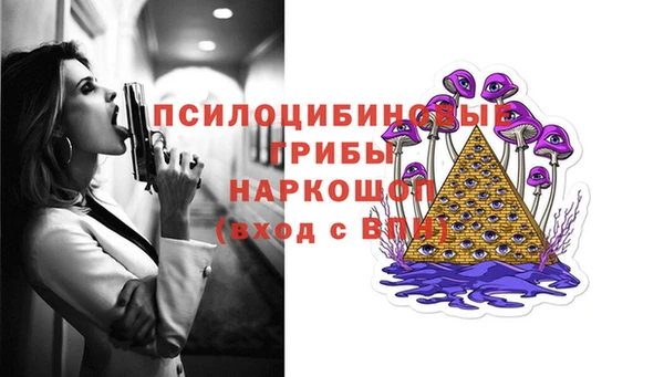 apvp Волоколамск